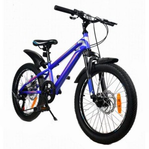 Велосипед горный подростковый  Rook MS200D  20" 7-ск. синий/красный