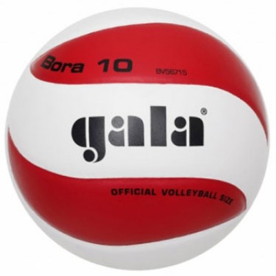 Мяч волейбольный Gala Bora 10